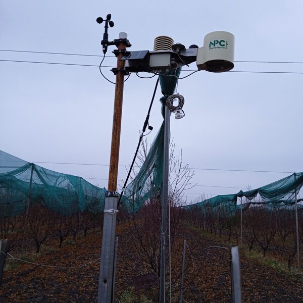 Azerbajdzsán almatermesztés agro ioT projekt FAO