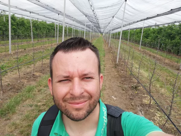 Almatermesztés, növényvédelmi állomás szerviz