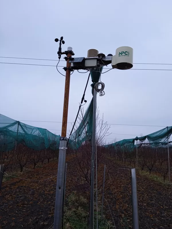 Azerbajdzsán almatermesztés agro ioT projekt FAO